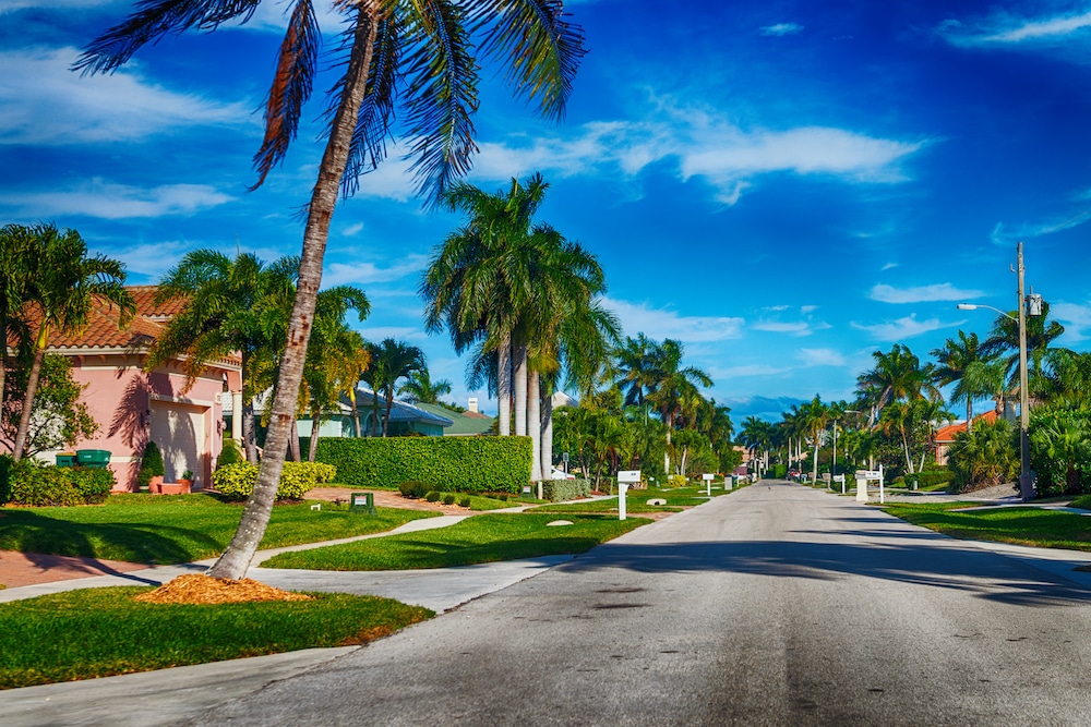 How to Get a Florida Real Estate License in 5 Steps - VanEd